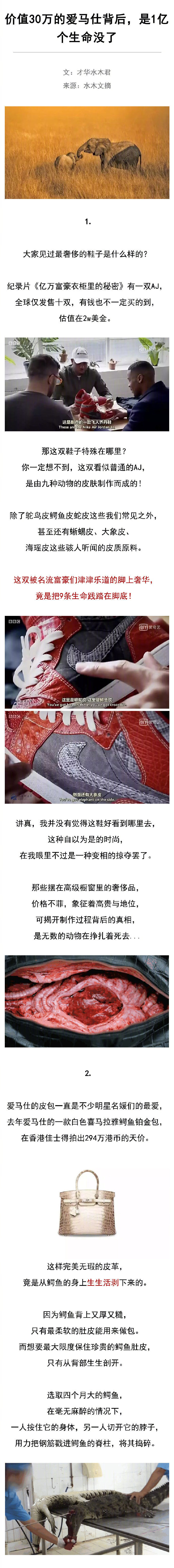 价值30万的爱马仕背后，是1亿个生命没了