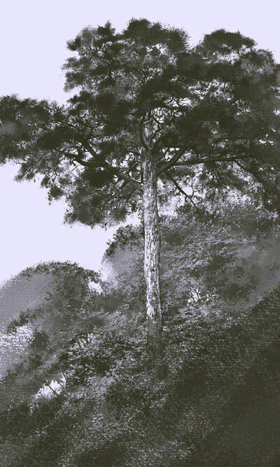 手绘古风风景
画师：伊吹五月