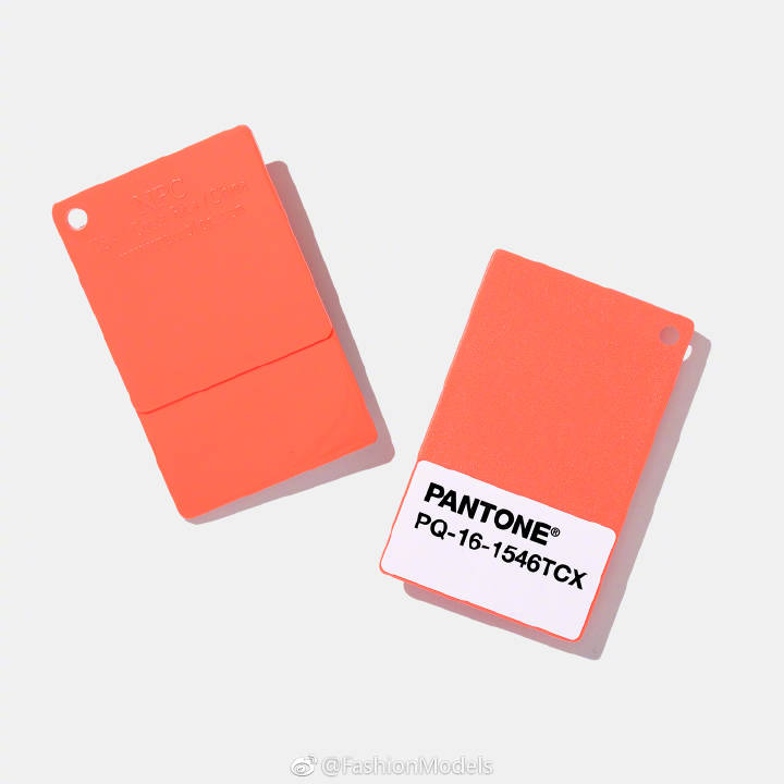 2019潘通流行色 活珊瑚色
2019 Pantone colour living coral