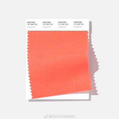 2019潘通流行色 活珊瑚色
2019 Pantone colour living coral