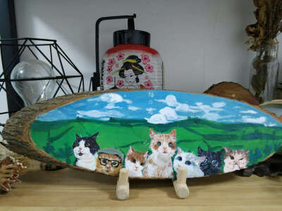 淘宝链接：https://item.taobao.com/item.htm?spm=a1z38n.10677092.0.0.11891debZk2Xbv&id=583189777485