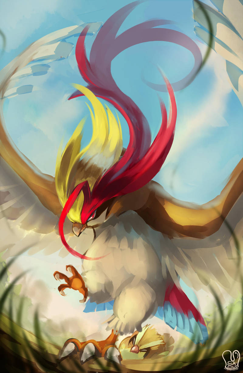 Pokemon : Mega Pidgeot by Sa-Dui