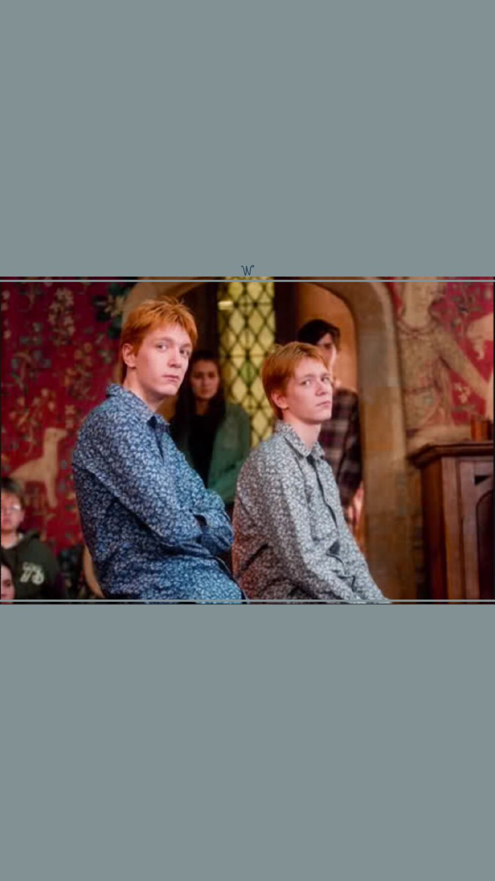 弗雷德·韦斯莱(Fred Weasley)
乔治·韦斯莱(George Weasley)
