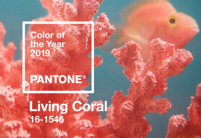 2019年度流行色珊瑚橙（Living Coral，色号PANTONE 16-1546），官方形容为这是一个充满生命力的色彩，象征着我们对乐观和愉悦的天生追求，为现代生活注入活力~