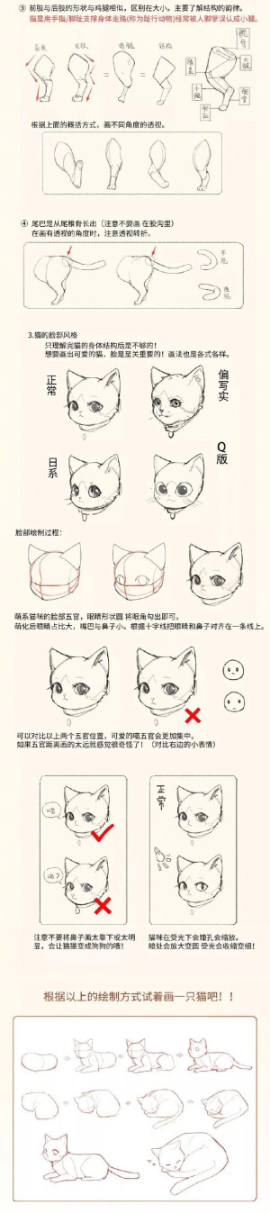 猫画法