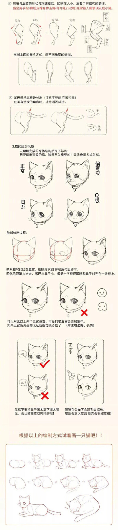 猫画法