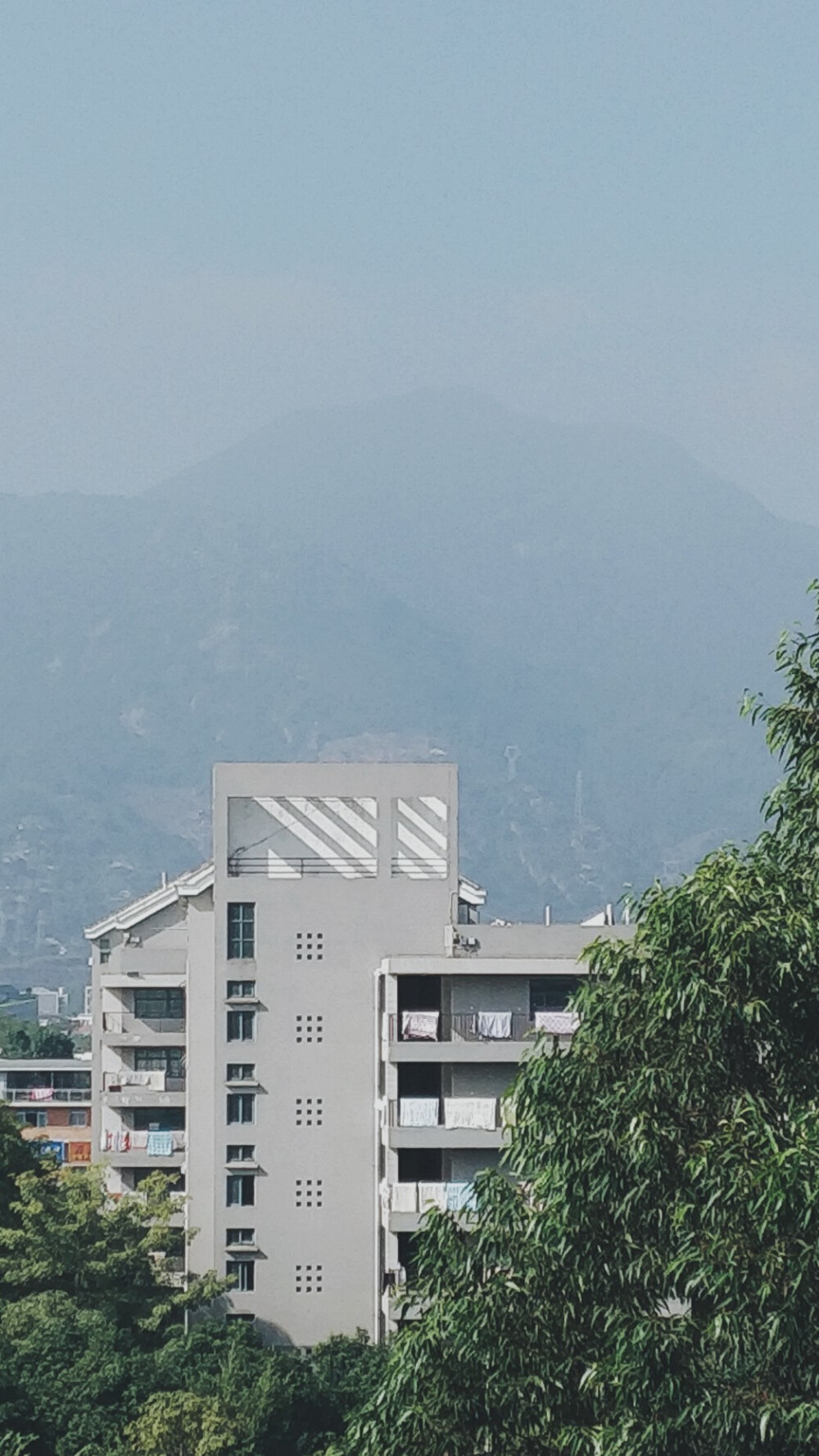 生活在别处（对面的宿舍楼） 来自 张小篱儿