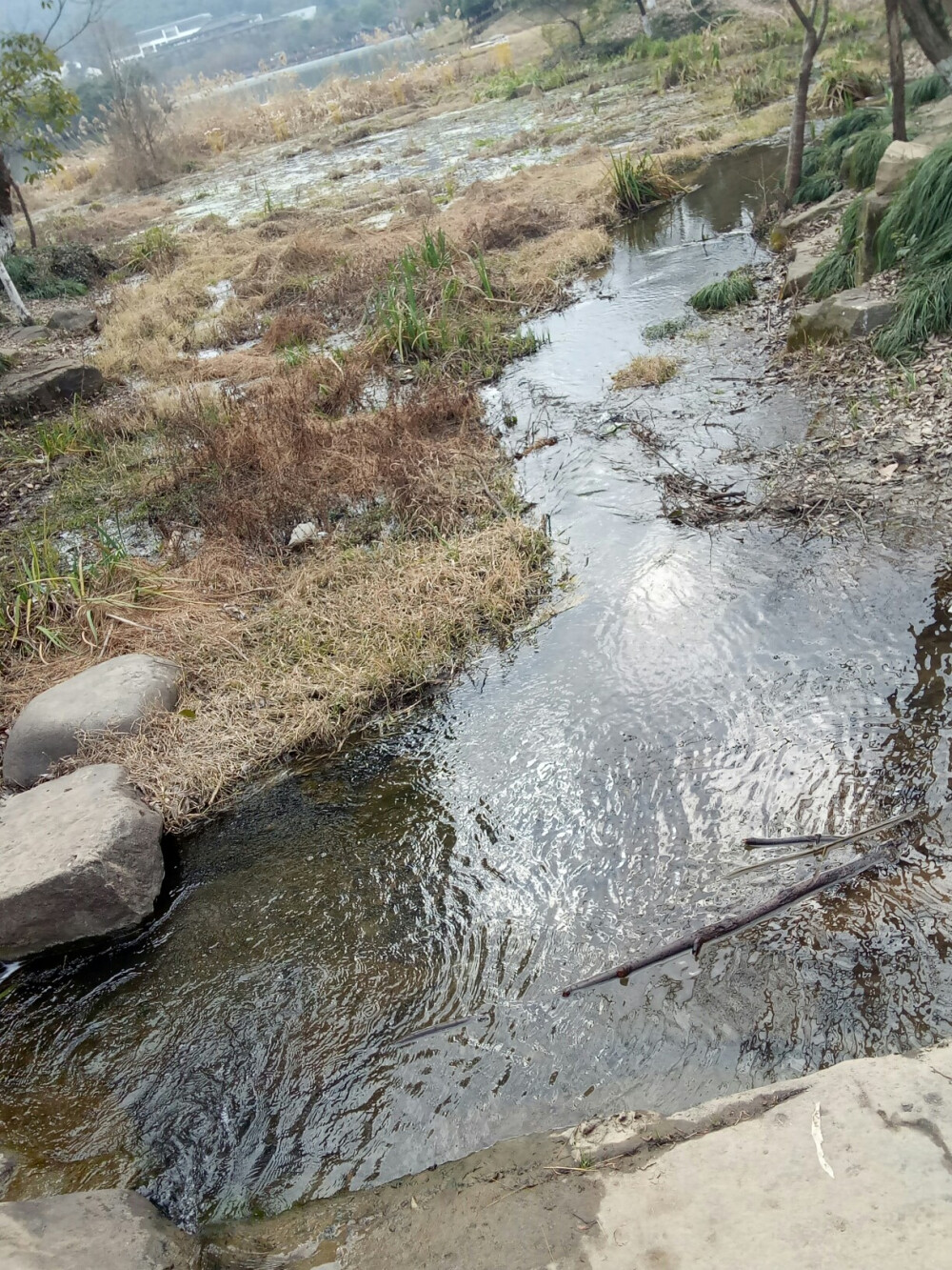 萧山湘湖