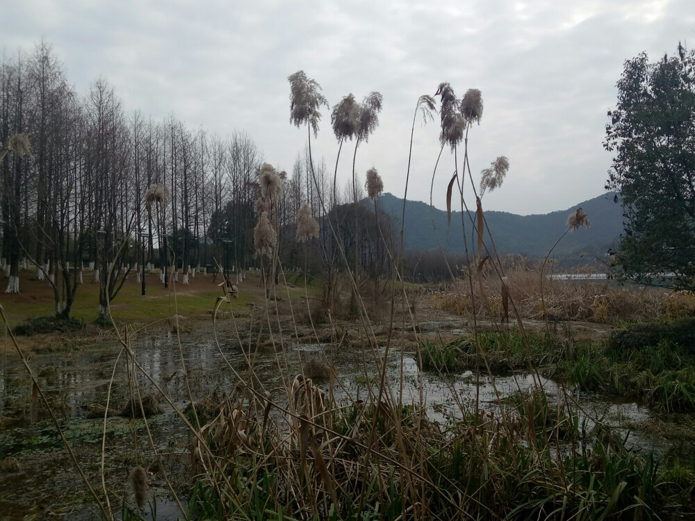 萧山湘湖