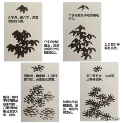 树叶的画法