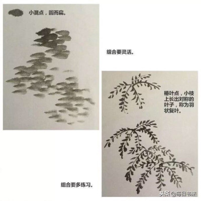 树叶的画法