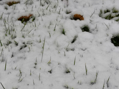 上海下雪啦～