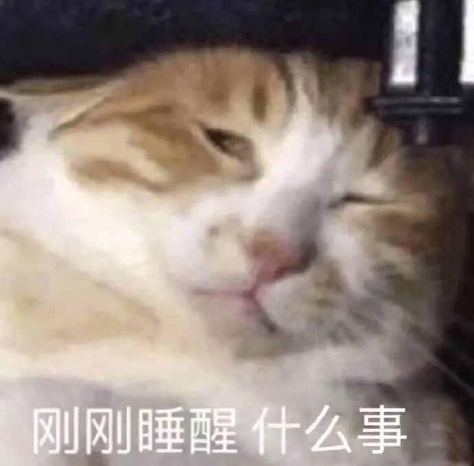 猫咪表情包