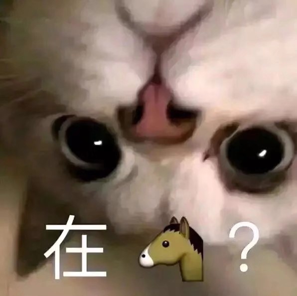 猫咪表情包