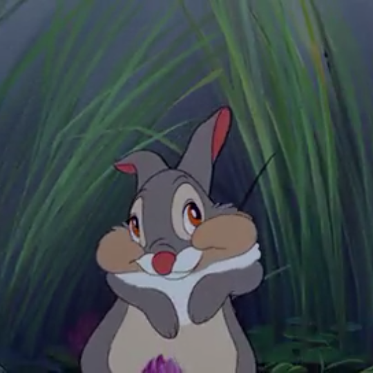 小鹿斑比 桑普
头像