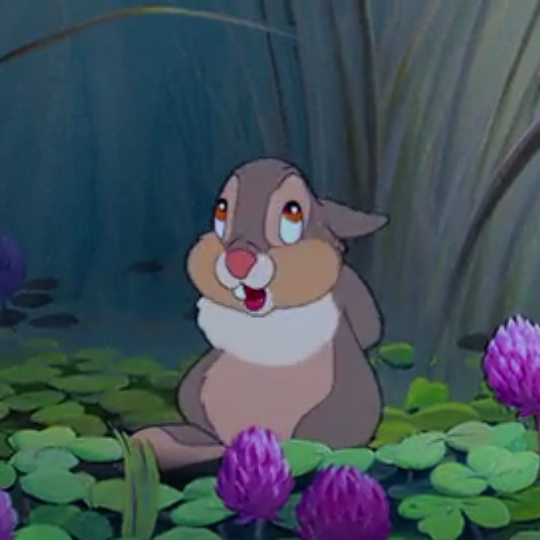 小鹿斑比 桑普
头像