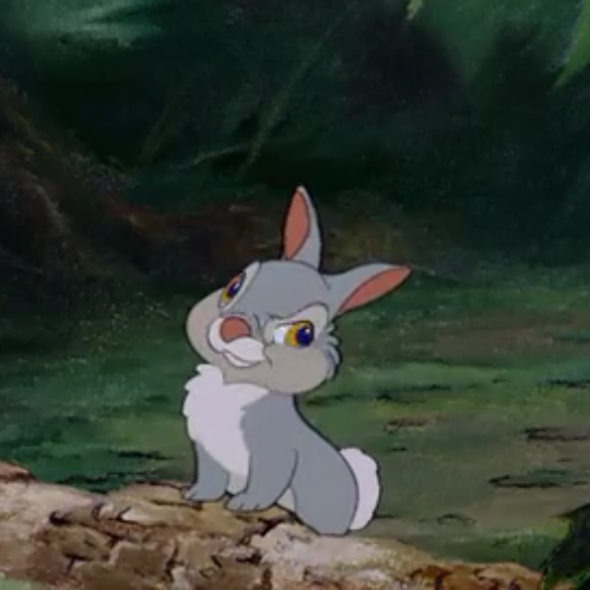 小鹿斑比 桑普
头像