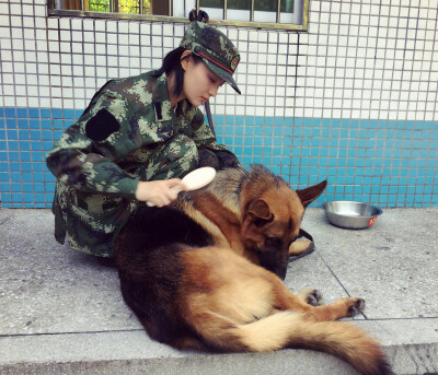 神犬奇兵