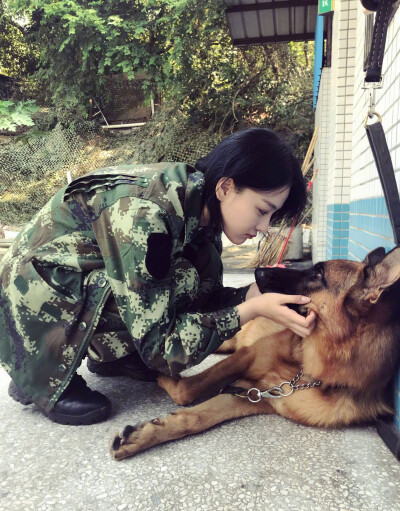 神犬奇兵