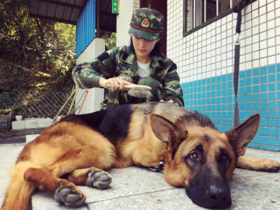 神犬奇兵