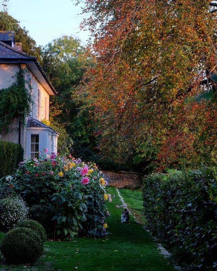 理想中的小花园 ins:mccormickcharlie 67