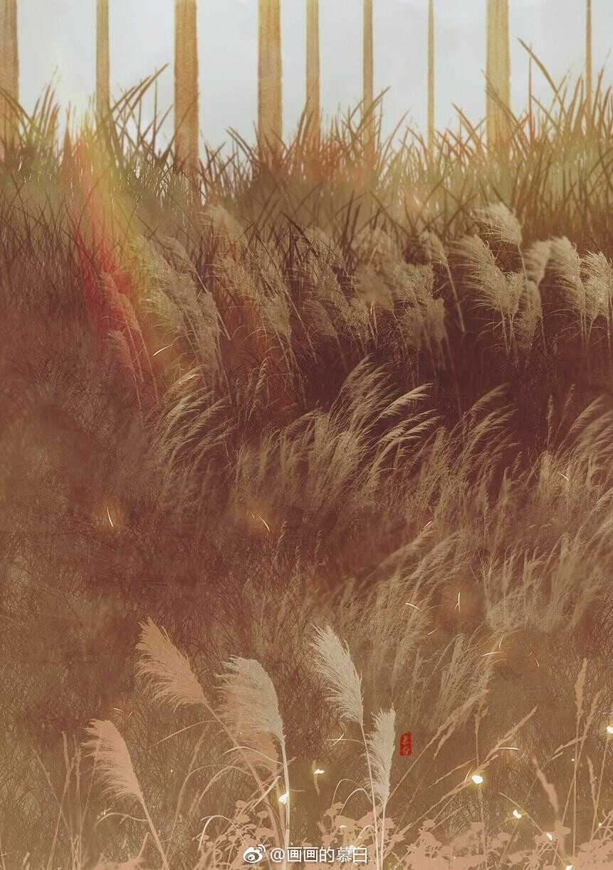 「秋色芦苇」画师: 画画的慕白