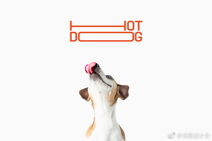 HOT DOG 宠物狗香肠创意包装设计。#求是爱设计#