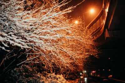 风雪夜归人
摄影：洪小漩
出镜：阿科
白天离开杭州时候，天是青灰色，无精打采的模样。
这一天，我们在绍兴忙着确定婚礼的场地。窗外雨雪交加，我们却顾不得抬头看一眼。
总算是张罗完了，长舒一口气。入夜，乘…