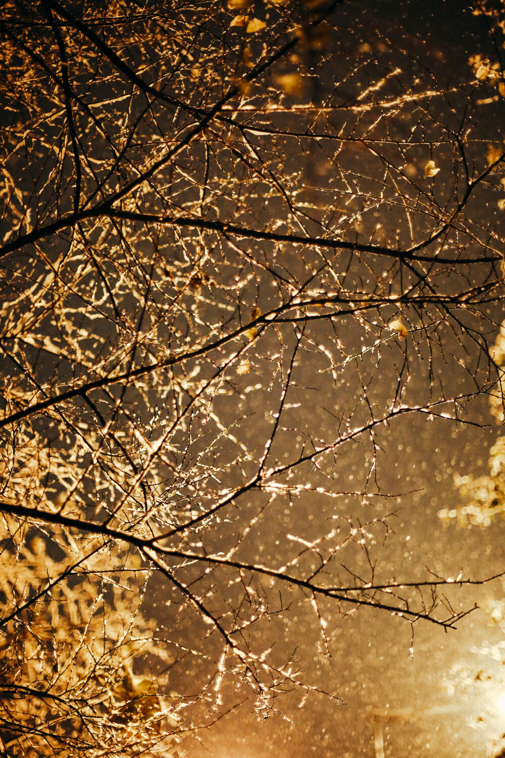 风雪夜归人
摄影：洪小漩
出镜：阿科
白天离开杭州时候，天是青灰色，无精打采的模样。
这一天，我们在绍兴忙着确定婚礼的场地。窗外雨雪交加，我们却顾不得抬头看一眼。
总算是张罗完了，长舒一口气。入夜，乘上回杭的高铁，彼时积雪已经有些模样。
阿科说想去看断桥残雪，我算了算时间不早，两人只得做罢。在家附近溜达一圈，散散步，拍拍照，也算是赏了雪景吧。
去年也遇到了一场雪景。我们从泰国旅行回来，飞机落地，走出航站楼。举目看见路灯下雪簌簌地下，美极了。
希望以后每场雪，身边都是你。
