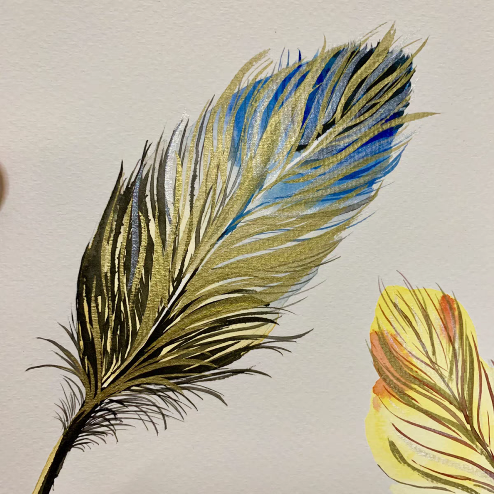 水彩羽毛