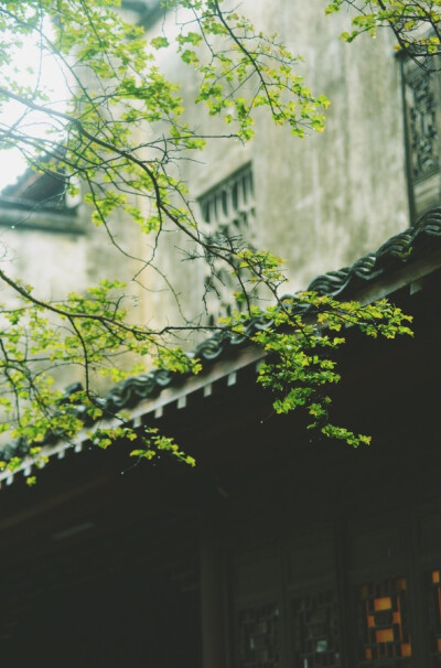 江南烟雨