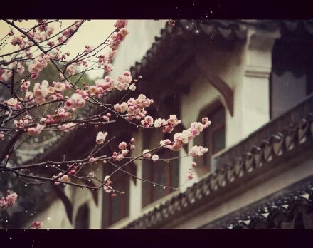 江南烟雨