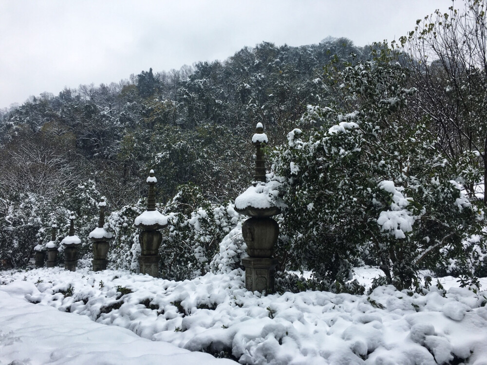 雪