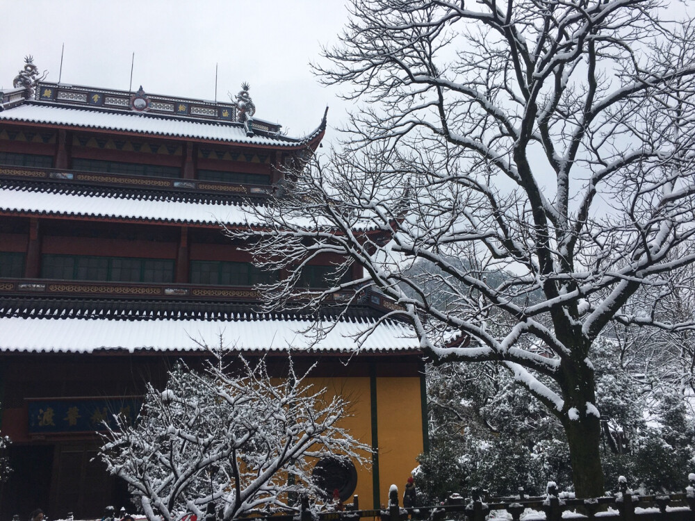 雪