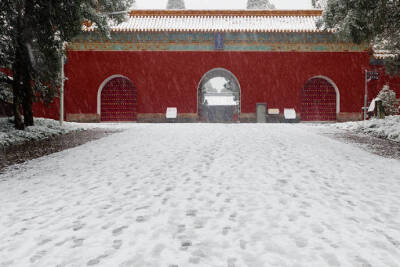 昨夜朔风带雪落，今晨满树梨花开。不知早起谁已赏，却把足印留下来。