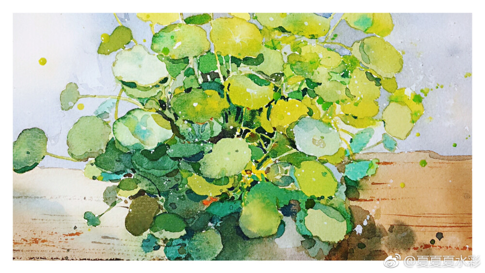 画个绿植治愈一下没有铅笔稿画起来更愉快 （作者： 夏夏夏水彩 ）