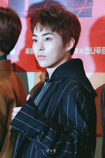 XIUMIN 金珉锡