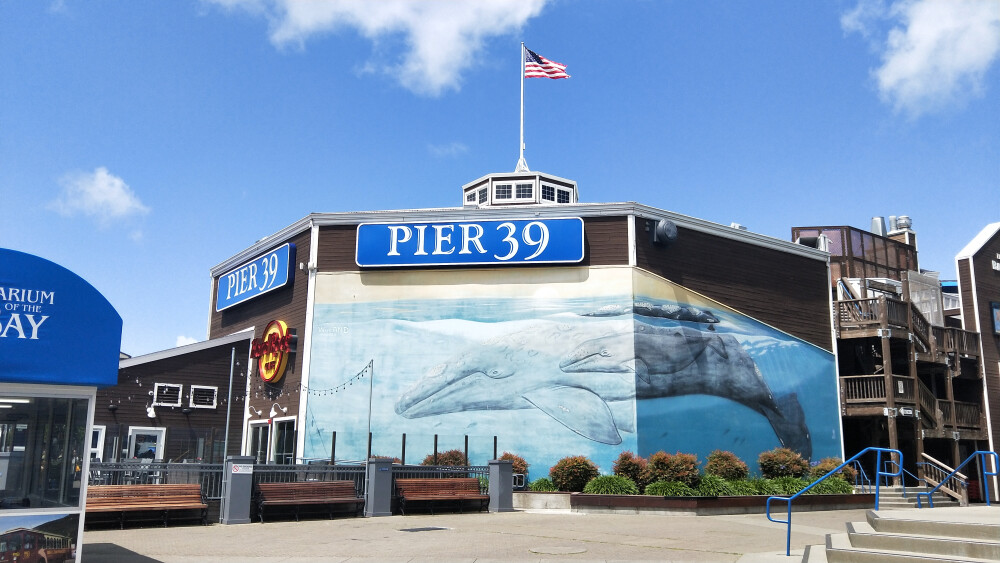 Pier 39