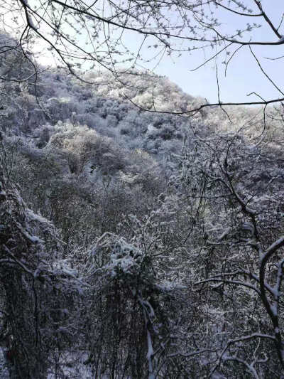 嘉午台 活动 2018.12.9