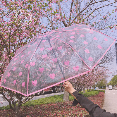 日系软萌可爱小清新爱心透明雨伞学生软妹折叠晴雨两用三折伞便携