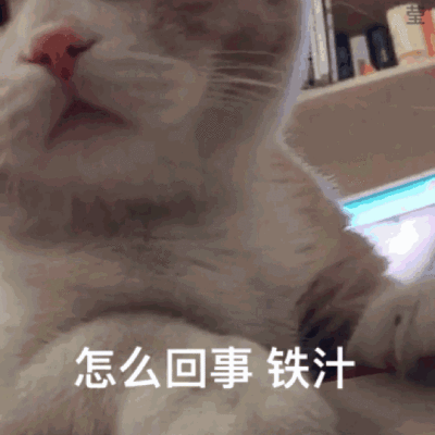 猫咪表情 搞怪