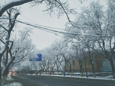 烟台雪景