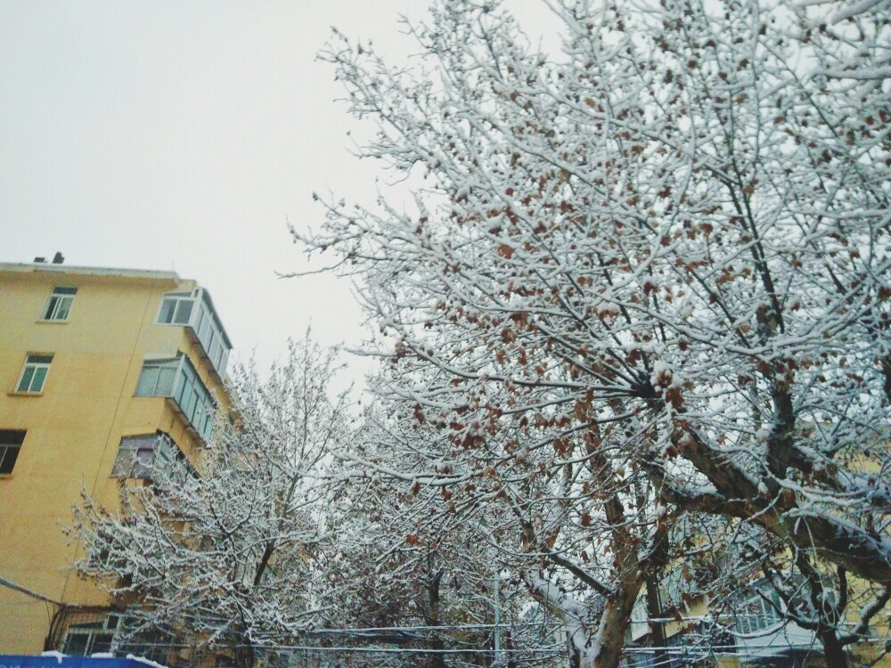 烟台雪景