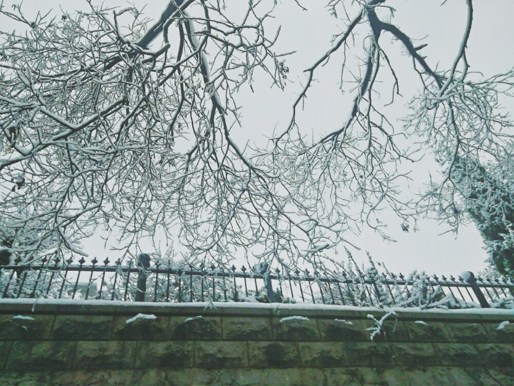 烟台雪景