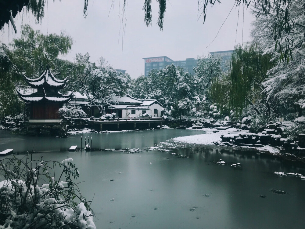 冬 园林 西湖