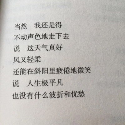 文字 感情泛滥的深夜