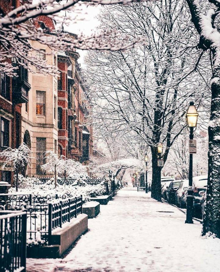 风景 波士顿雪景