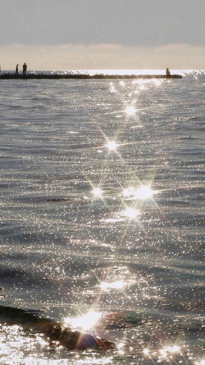 ✨✨✨