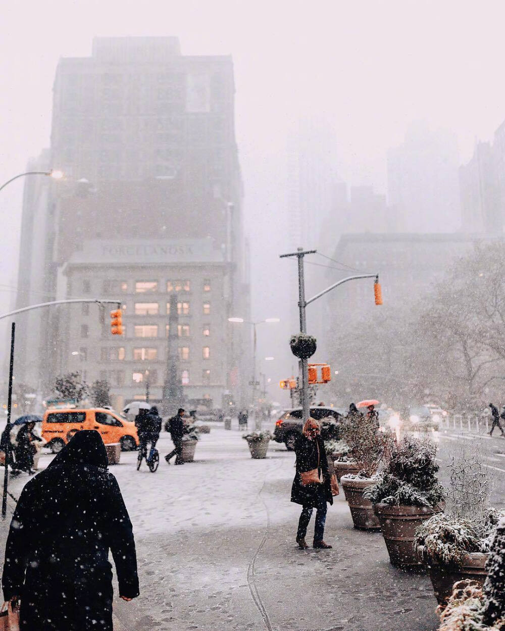 飘雪的纽约，就这样把整个城市变成了童话世界 ins:pankratova916