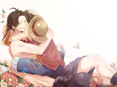 艾路 艾斯 路飞